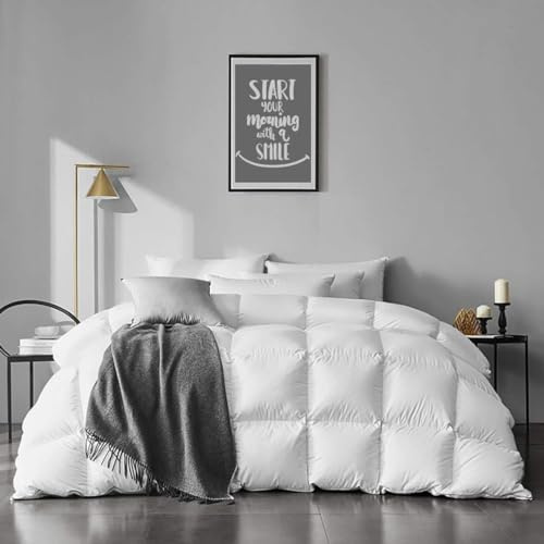 APSMILE Twin Size Feathers Down Comforter - Ultra Soft All Seasons 100% Organic Cotton Duvet Insert Medium Warm Quilted Bed Comforter with Corner Tabs (68x90,Ivory White)