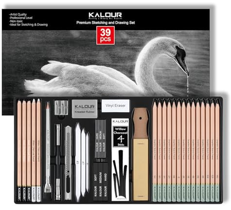 KALOUR PDAS 39 Kit de Dessin Professionnel – Crayons à Papier (5H à 14B), Fusains Noirs et Blancs, Pinceau Gomme – Fournitures d'Art pour Croquis, Idéal Cadeau pour Artistes Adultes et Débutants