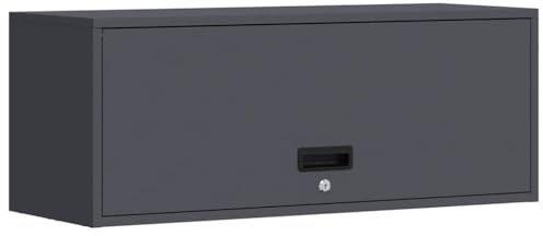 Tomostar Wandschrank für Garage, Werkzeugschrank, aus Metall, für Werkstatt, Garage, Anthrazit, 90 x 33 x 35 cm