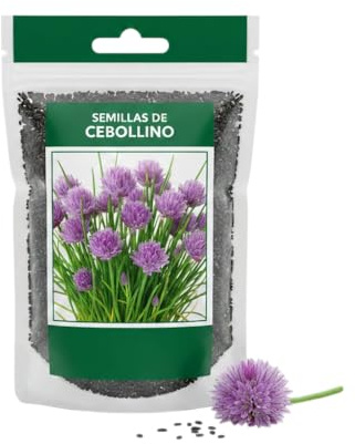 Cebollino Aromático Fácil de Cultivar – Semillas DECOALIVE