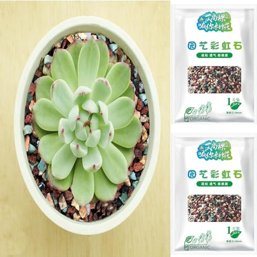 Kasmole 1 Kg Piedras Pequeñas para Macetas - Piedras Volcánicas Naturales para Macetas - Macetas para Decoración, Tierra para Drenaje De Plantas para Jardín Suculentas Cactus