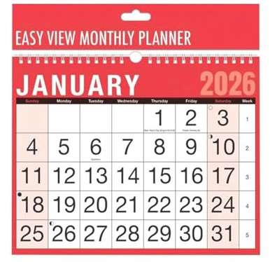 Spiralbunden väggkalenderplanerare för hem företag kontor skola | Körs från 1 januari till 31 december (Easy View)