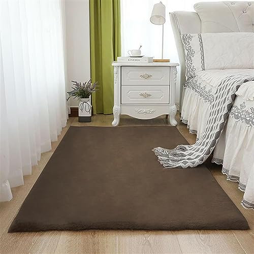 ZWPILY Hochflor Teppich, Einfarbig, Flauschiger Langflor Teppich, Shaggy Flokati, Rechteckig, Pflegeleicht, Wohnzimmerteppich - Fellteppich - Modern Kunstfell Carpet für Schlafzimmer,Braun,120x170 cm