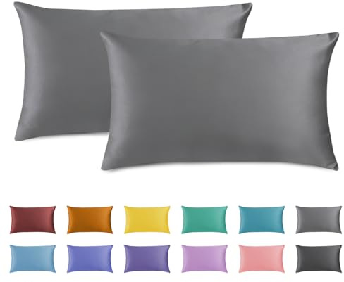 AMFUN 2PCS Fundas de Almohada, 40x60 Funda Almohada con Cremallera, Microfibra cepillada Suave, Resistentes al Encogimiento y a la decoloración- Gris Oscuro