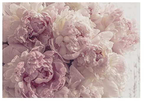 Carta Da Parati Fotografica Fiori Grandi Peonie Rosa - Include Colla - Moderna Design Carta per Pareti Soggiorno Camera Da Letto Sala Fotomurali In Tessuto Non Tessuto TNT (416x254 cm - 4 Strisce)