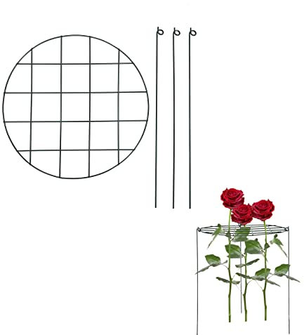 INIFLM Runde Pflanzenstütze, Pfingstrosen-Käfige und Stützen, zum Wachsen durch Gitter, Pflanzenring, Metall-Pflanzenring für Garten, Tomaten, Rosenranken, Pfingstrosen, Hortensien, 3 Stück