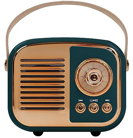 Aresrora Retro Bluetooth Speaker, Vintage Wireless Speaker, Portable Mini Radio, Old Fashioned Style for Room Decor, Kitchen, Desk, Bedroom, Office, Support TWS Pairing