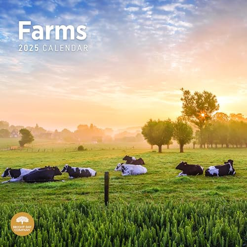 Bright Day Monats-Wandkalender 2025, Bauernhof, 30,5 x 30,5 cm, schönes Geschenk für Landschaftsfotografie