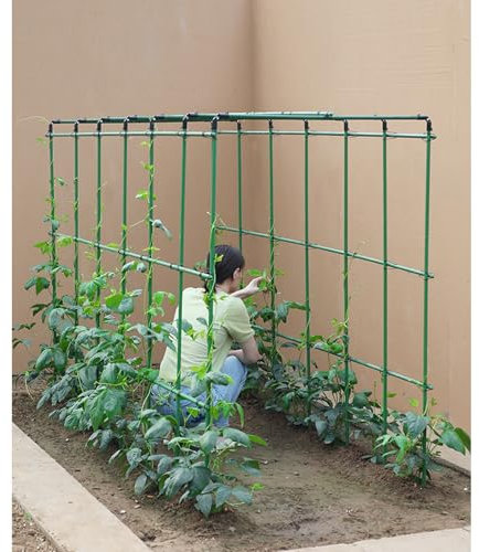 Traliccio da giardino verde di alta qualità per piante rampicanti, cetrioli e pomodori, pali robusti per verdure, fagioli, aiuole rialzate, 120 x 240 x 240 cm