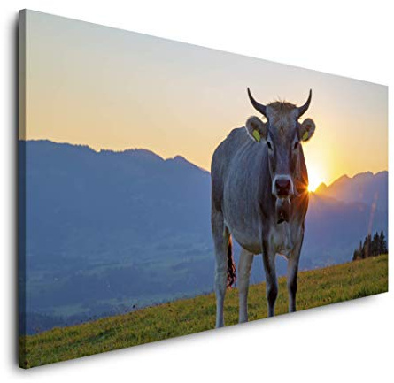 Paul Sinus Art Kuh im Allgäu 120x 60cm Panorama Leinwand Bild XXL Format Wandbilder Wohnzimmer Wohnung Deko Kunstdrucke