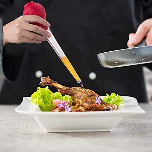 Saterkali Turkey Baster with Cleaning Brush, Transparent Tube with Measurement - Ideal for Amplifing the Flavor and Aroma by Infusing Marinades to the Meat Red
