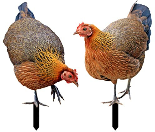 Cabilock 2stücke Huhn Gartenstecker Doppelseitige Acryl Garten Dekoration Für Außenbereich Niedliche Hühner Ornamente Für Rasen Und Garten Deko Für Hauswärmung Und Feste