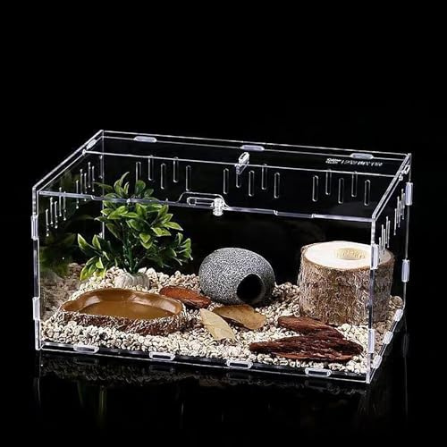 AMZTEMU Terrarium phasme, Boîte à Nourrir en pour Reptiles, Ensemble de récipient en acrylique d'insecte, Habitat Portable(30*20*15cm)