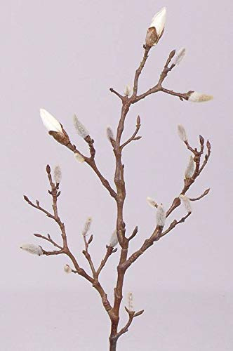 artplants.de Deko Zweig Magnolien Zweig Asani, weiß, 70cm - Kunstzweig