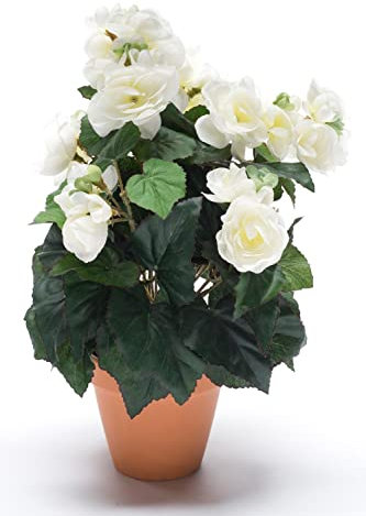 artplants.de Kunst Begonie CATINKA im Terracotta Topf, Creme, 30cm - Künstliche blühende Pflanze