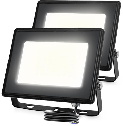 Aigostar Foco Led Exterior 30w 2450 lúmen,Luces Led Exterior Impermeable IP65,Proyector LED Exterior Blanco Frío 6500K para Jardín,Patio,Garaje,Parque, 2 piezas