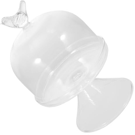 Ciieeo Dome Glass Cake Stand with Cover Cake Serving Holder Craftsmanship for Use