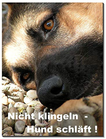 Schäferhund-Schild-3 Größen-Aluminium Verbund-Hund-Tierschild-Warnschild-Hinweisschild (1451-40 -300 x 200 x 2 mm mit Löcher)