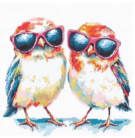 51buyoutgo Kreuzstich Set Vorgedruckt, Farbige Vögel Stickbilder zum Sticken Set Erwachsene mit 11CT Stickvorlagen, Stickset für Anfänger, 30x30 CM Cross Stitch Embroidery Kit Geschenke für Home Deko