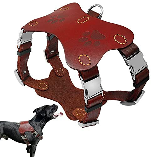 YANYUESHOP Pitbull Terrier Halsbänder Geschirre Echtes Leder Hund Hraness Weste Große Hunde Trainingsgeschirre Golden Retriever