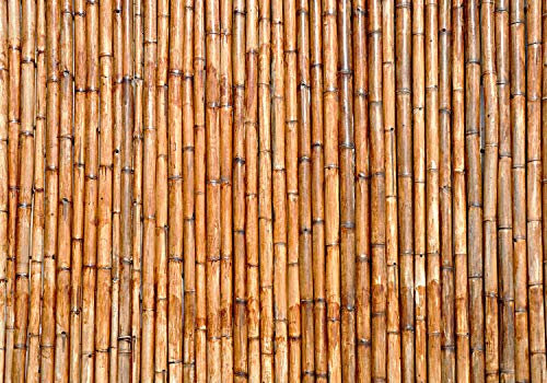 wandmotiv24 Fototapete Bambus Holz Natur, 200 x 140cm - selbstklebende Strukturtapete, Wanddeko, Wandbild, Wandtapete, Holzwand, Holzoptik M0721