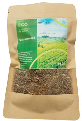 Abrotano, planta aromática, té de abrotano, infusión de abrotano, hierba medicinal, hojas secas, abrotano beneficios, tisana de abrotano, remedio herbal, Artemisa abrotanum.