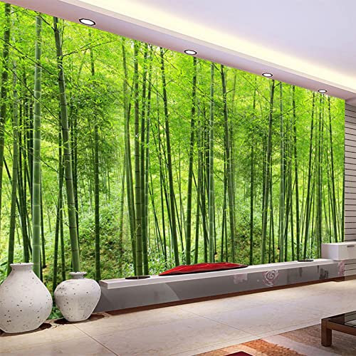 Papier peint HD vert forêt de bambou naturel paysage papier peint pour salon bureau décor chambre papier peint écologique, 250 cm x 175 cm