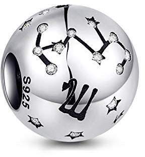 NINGAN die Zwillinge 12 Sternzeichen Geburtstag Anhänger – 925 Sterlingsilber Anhänger für Armband & Halskette – Ideale Geburtsgeschenke für Frauen & Freundinnen