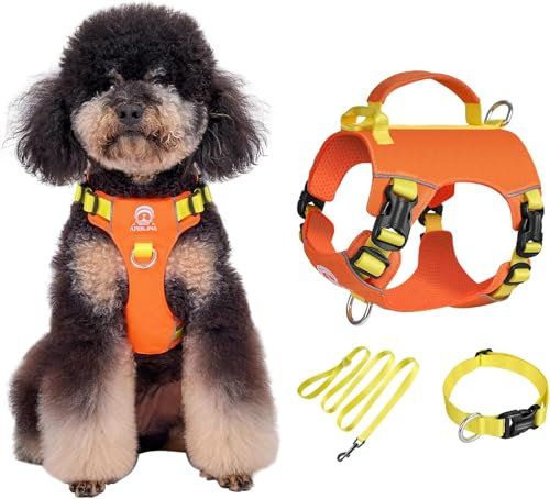 Arblina Hundegeschirr Kleine Hunde Set, Kaleido Leichtes Geschirr & Halsband & Leinenset für Kleine/Winzige/Mini-Hunde, Hundegeschirr mit Griff und Lichtreflektierendem Gurt