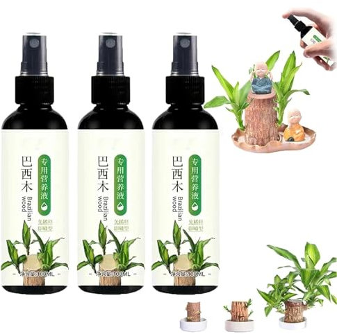 CSYBYW Engrais for Plantes en Bois brésilien,Engrais Liquide Lucky Bamboo,Engrais for Plantes d'intérieur en Bois brésilien,Solution nutritive spéciale for la Floraison du Bois brésilien(3pcs)