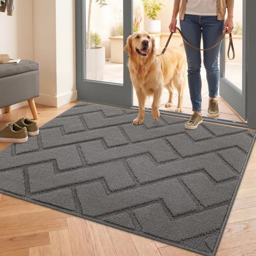 Biscpro Fußmatte Innen 80x100cm,Schmutzfangmatte rutschfest Fussmatte Innen Waschbar Eingangsteppich Innen Fussmatten Haustür dünn Innen für Eingang, Flur, Garten, Innen, Haustier- Grau