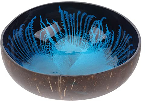 Housoutil Bol de rangement décoratif unique en coquille de noix de coco naturelle pour clés, noix et bonbons – Design créatif respectueux de l'environnement pour la maison et le bureau