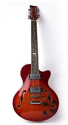 CAZARU Guitarra Guitarra 12 Cuerdas Guitarra eléctrica de Cuerpo Hueco Instrumento Musical F Agujero 12 Cuerdas Guitarra eléctrica Guitarra acústica Hyococ