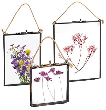 Nicola Spring Hanging Metal Photo Frame Gallery Set - 3 Sizes Black Vintage Glass Picture Frames with Rope Wall Display - Rustic Industrial Home Décor for Photos, Prints & Artwork