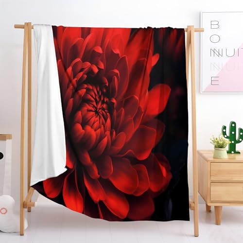 Pflanzenblumen Kuscheldecke Flauschig Decke, 150 × 200 cm Große Warme Couchdecke, rote Chrysanthemen Kuschlige Wohndecke Weich als Sofaüberwurf Blanket Sofadecke Bett