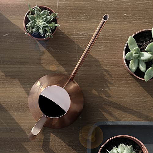 Aramox Succulente Becco Lungo Annaffiatoio, Annaffiatoio Rame Irrigazione per Piante da Interno Annaffiatoio Lungo Becco Stretto Bonsai da Interno Fiore Color Bronzo Giardinaggio