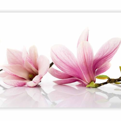 artgeist Premium Wall Mural Magnolia 79x61 in - Non-Woven Wallpaper Fleece Wall Decor Photo Print Picture Design Image Decoration Home Nature Flower Plants Botanical 100406-51