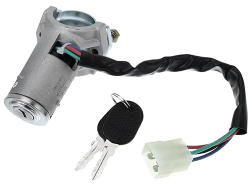 VekAuto Interruttore Blocco Cilindri Accensione 4479518 per Peugeot J5 1981-1994, Metallo Resistente Tono Argento Cilindro Serratura Accensione Chiave Avviamento