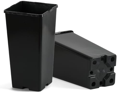 Pullmer Anzuchttöpfe extra hoch 11x11x21 cm, 10 Stück, Tiefwurzlern viereckiger Pflanzentöpf für Aussaat, für Sämlinge oder Stecklinge, Pikiertöpfe Kunststoff (10,11x11x21cm)
