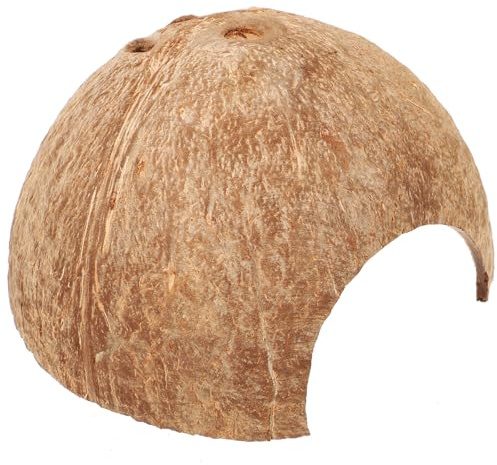 OSOLADY Casa Nascondiglio in Guscio di Noce di Cocco Naturale Decorazione Sicura e Visivamente Attraente per Rettili e Piccoli Animali per Terrari