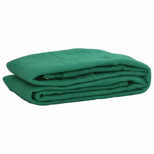 Anhängernetz Grün 3,5x6 m | HDPE & Polyester, Feinmaschig, Ladungssicherungsnetz, Robustes Frachtnetz mit Messingösen