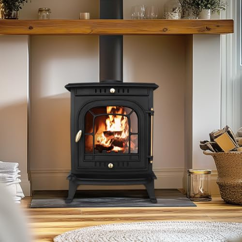 NRG 7 KW Multifuel Stove Cast Iron Wood Burning Stove Eco Design Fireplace