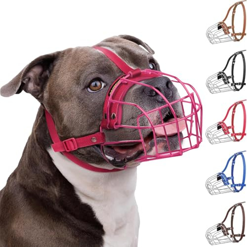 BRONZEDOG Muselière pour Chien Pitbull – Panier métallique Respirant pour Grands Chiens comme l’Amstaff, avec Sangles en Nylon – Contre morsures, mâchonnement et aboiements