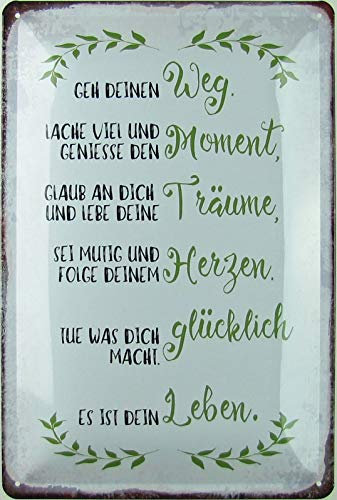 Metall Schild 20x30cm Geh deinen Weg Spruch Sprüche Blechschild