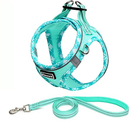 Elevant Hundegeschirr mit Leine, Step-in Weich Gepolstert Geschirr Reflektierend, Air-Mesh Atmungsaktiv Brustgeschirr, Welpengeschirr für Kleine Hunde, Haustiere, Welpen, Katzen (M, Hellgrün)