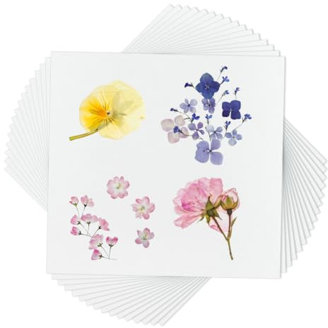OLYCRAFT 50 confezione Carta Assorbente per Pressa per Fiori 26x25cm Carta Assorbente Bianca per Pressa per Erbario per Progetti Artistici e di Conservazione Floreale Fai Da Te Spessore 0.4mm