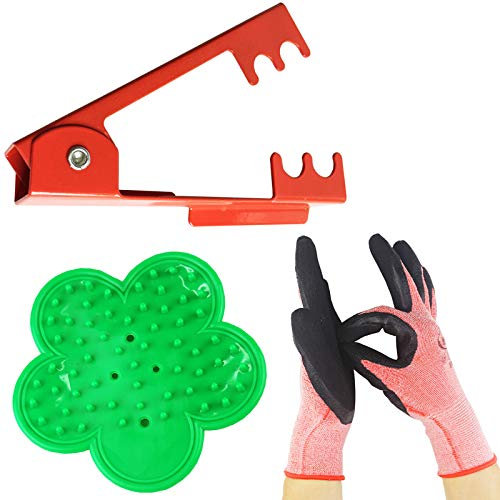 TIHOOD 3 st professionellt kit med rosenblad tagg – skalverktyg och handske (rött stål och grönt gummiskalare + handske)