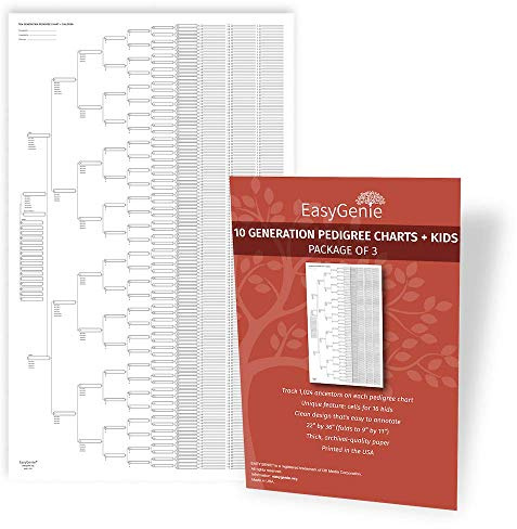 EASYGENIE 10 Generation Blank Pedigree Charts (Package of 3) | Archival Quality Genealogy Chart Blanks