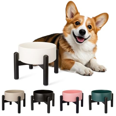 Comedero Perro Elevado de Cerámica - Cuenco para Perros Pequeños y Medianos - Plato Comida con Soporte de Acero Inoxidable - 850 ml - Blanca