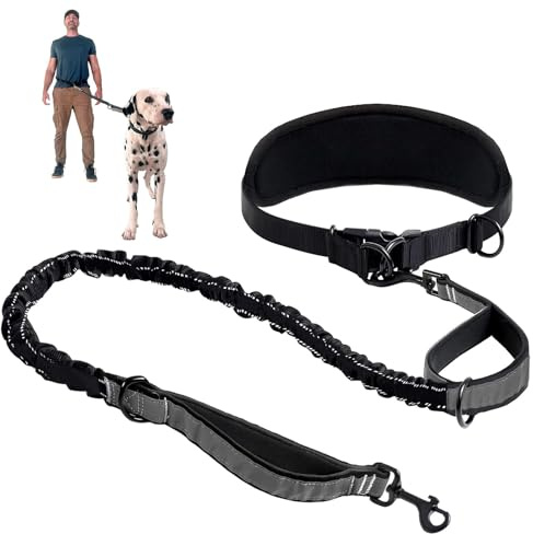 Joggingleine Hunde, Freihandleine Hund, Hundeleine Große Hund, Bauchgurt Hundeleine Zum Joggen Laufen Wandern Mit Dual Griffe, Für Mittelgroße Bis Große Hunde (Schwarz)